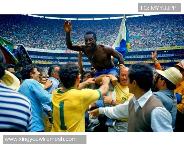 贝利传奇足球卡收藏价值揭秘及其在球迷中的历史地位解析