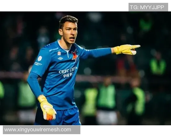 足球明星卡片收藏热潮重燃 球迷必备的珍藏版限量卡片引领新趋势