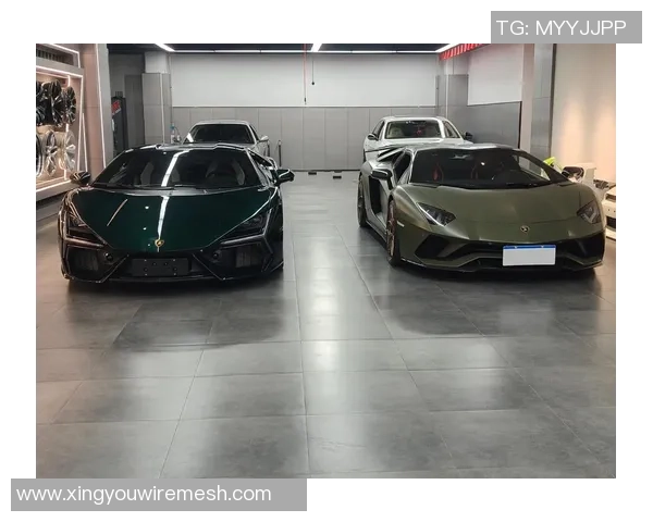 足球球星们的超跑:那些豪车背后的速度与激情 足球球星们的超跑:那些豪车背后的速度与激情